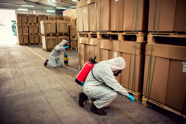 Best Pest Removal Services  in Joplin, MO