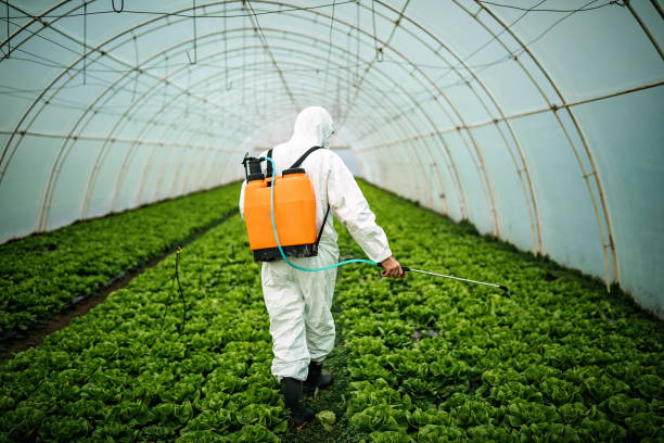 Best Pest Inspection Near Me  in Joplin, MO