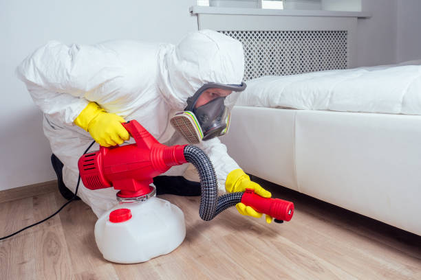 Best Flea Control Services  in Joplin, MO