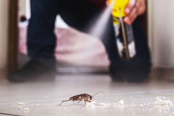 Best Best Pest Control Companies  in Joplin, MO